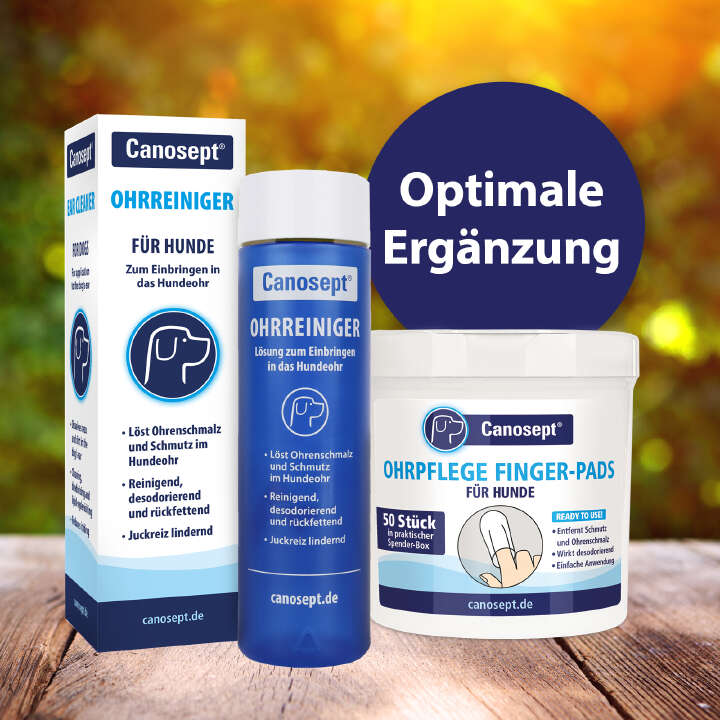 Canosept Ohrreiniger für Hunde 125 ml